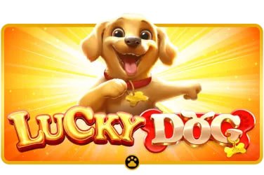 jdbkx app ကာစီနို Live Casino ဂိမ်းများ